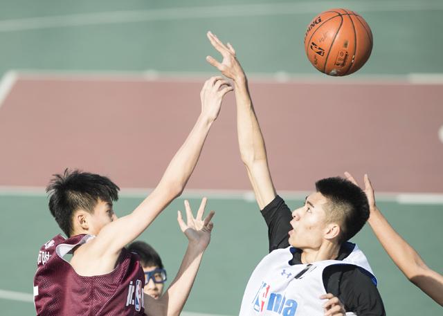在线观看福利网站