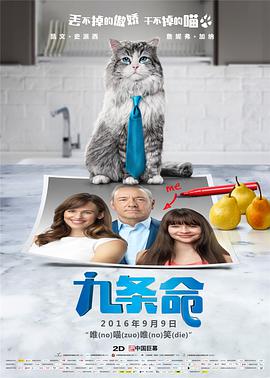 久久婷婷av