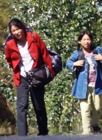 二区三区在线